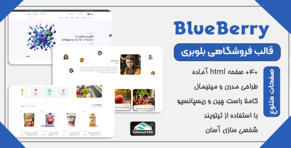 قالب HTML فروشگاهی بلوبری، Blubery