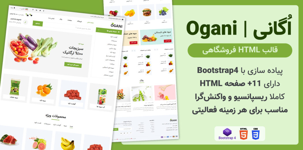 قالب Ogani، پوسته HTML فروشگاهی اگانی - قالب HTML راستچین