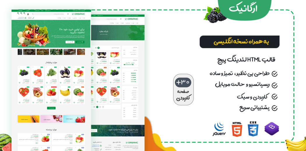 قالب Organic، قالب HTML فروشگاهی ارگانیک - قالب HTML راستچین