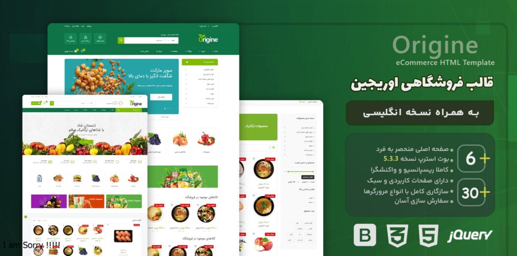 قالب Origine | قالب HTML فروشگاهی اوریجین - قالب HTML راستچین