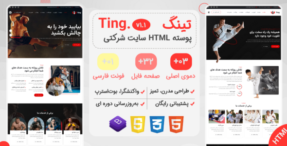قالب HTML شرکتی تینگ، Ting